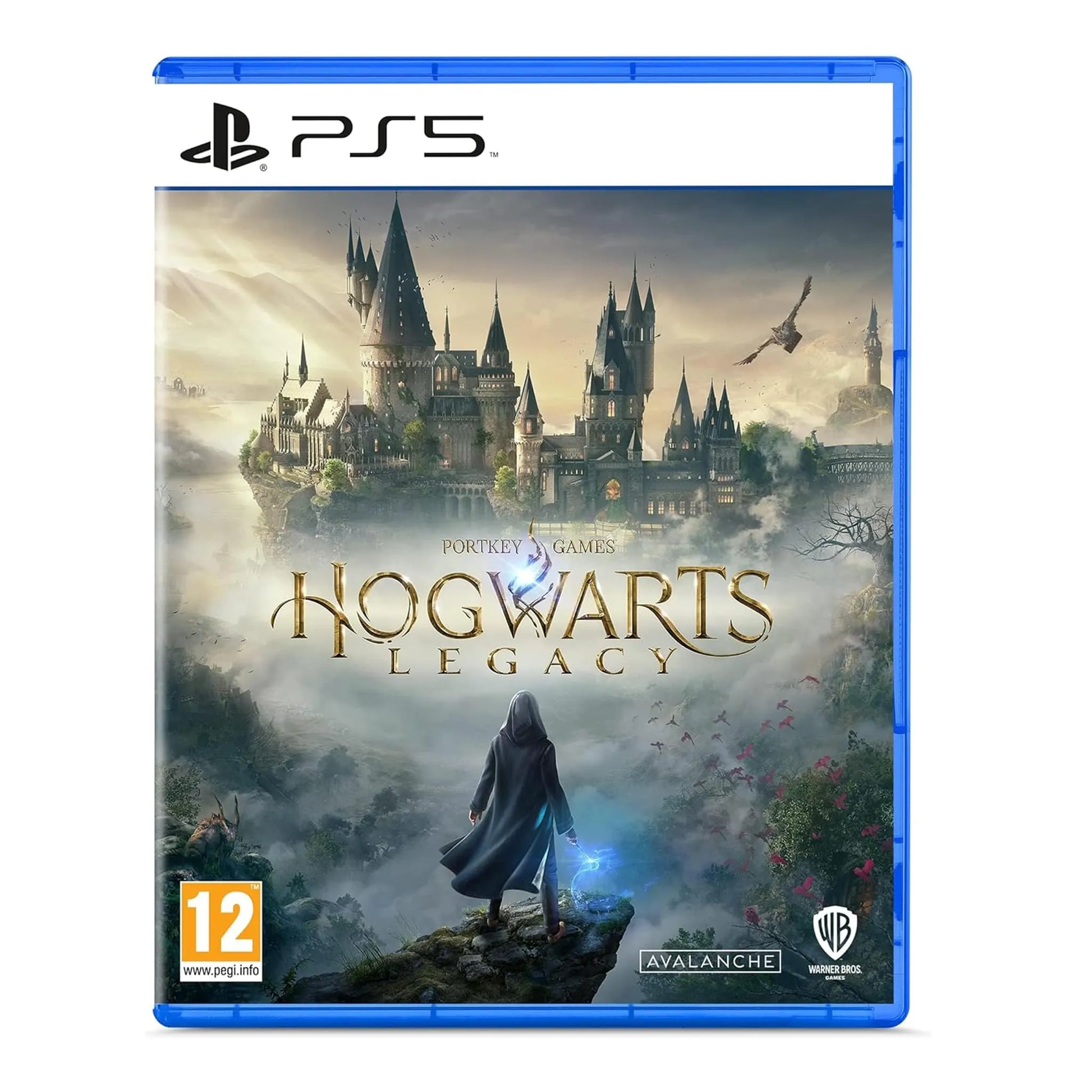 Hogwarts Legacy L'Heritage de Poudlard PS5