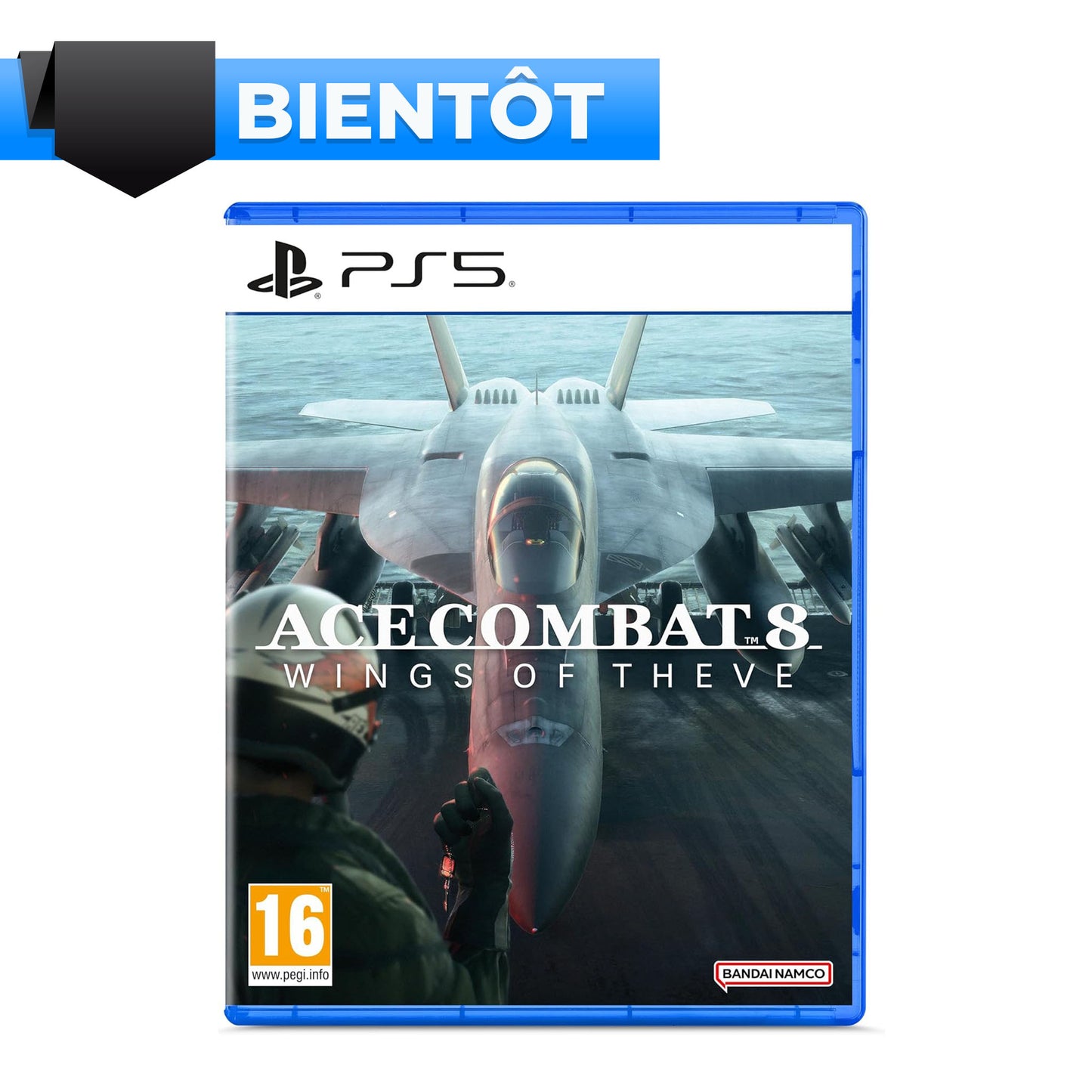 ACE COMBAT 8 WINGS OF THEVE PS5